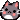 [kitty]