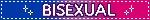 bisexual
