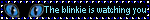 this blinkie is watching you