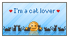 i'm a cat lover